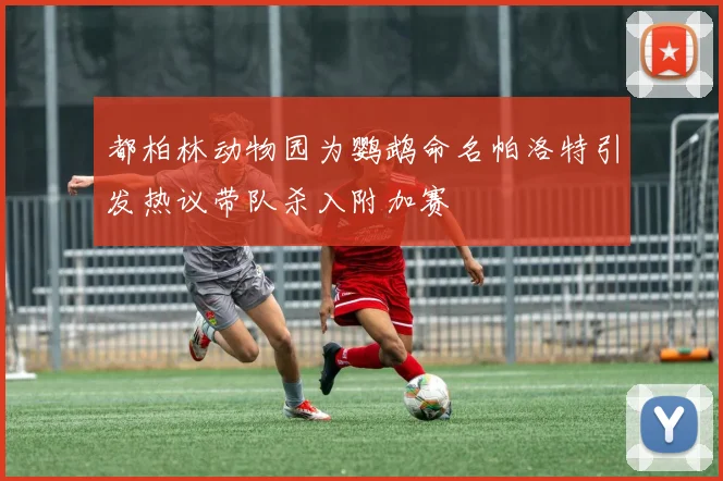都柏林动物园为鹦鹉命名帕洛特引发热议带队杀入附加赛
