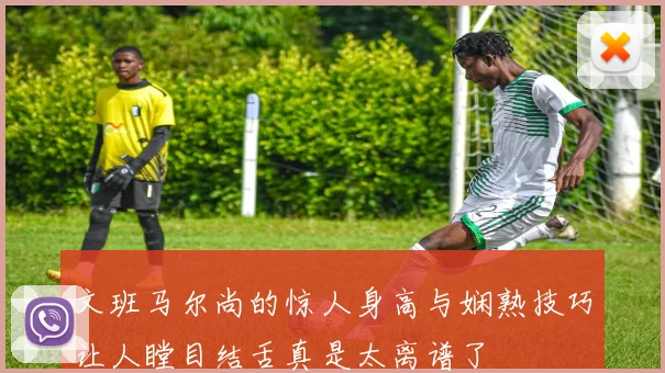 文班马尔尚的惊人身高与娴熟技巧让人瞠目结舌真是太离谱了