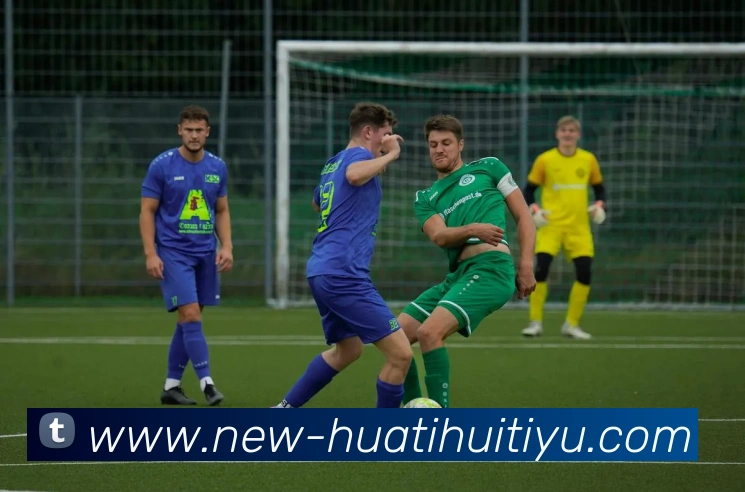 多媒体互动体验