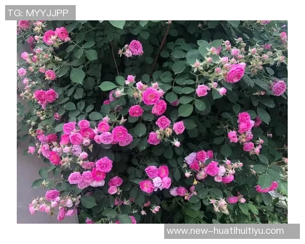 福法纳谈古斯托:我们关系密切他每天都在努力进步 福法纳谈古斯托:我们关系密切他每天都在努力进步